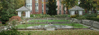 glendon_rose_garden