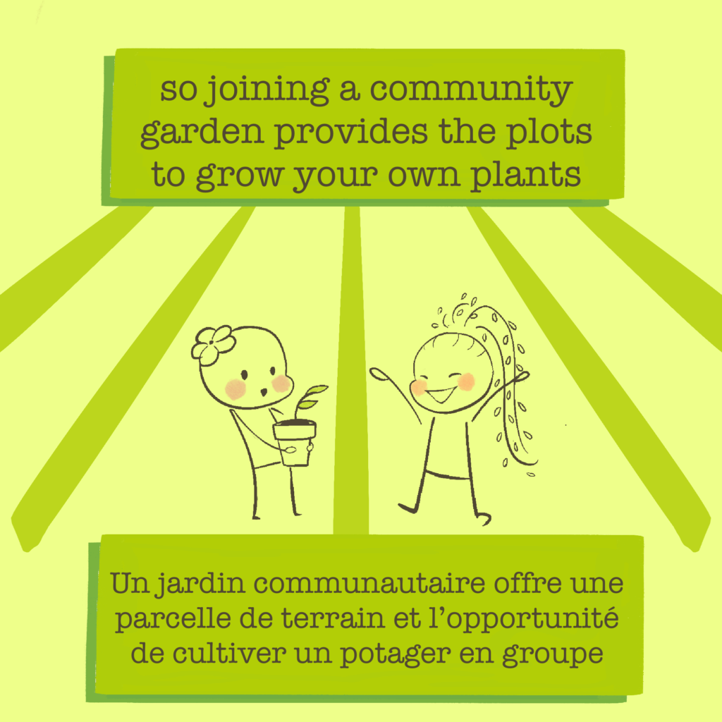 What is a Community Garden Infographic. Page 3